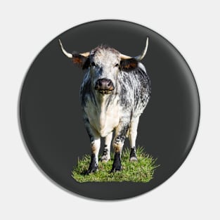 Longhorn Cow Pin