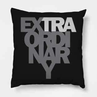 Extraordinary Pillow