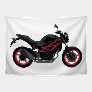 Motorcycle Suzuki SV 650 Tapestry