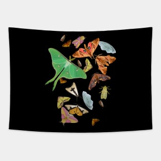 Moth Party! Tapestry