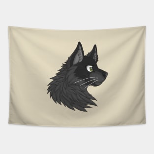 Black Maine Coon Tapestry