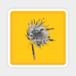 Sunflower Glow Magnet