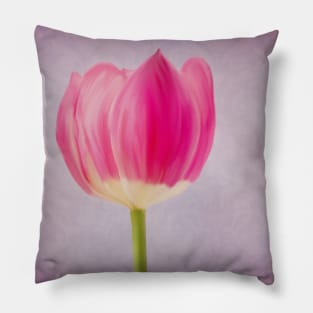 Painted Tulip Pillow