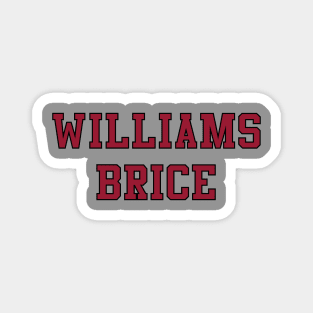 Williams-Brice Stadium Magnet