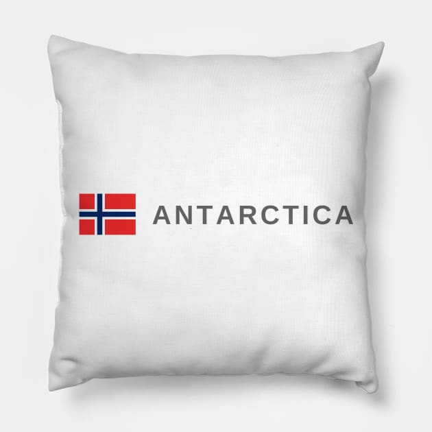 Antarctica Pillow by tshirtsnorway