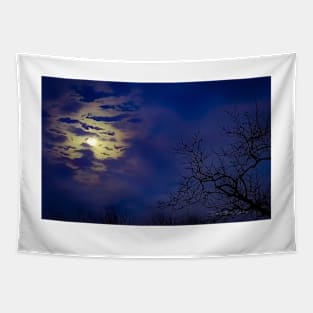 New Year Moon Tapestry