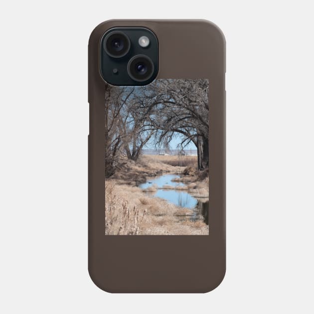 Sage River Phone Case by gdb2