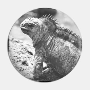 Marine Iguana Pin