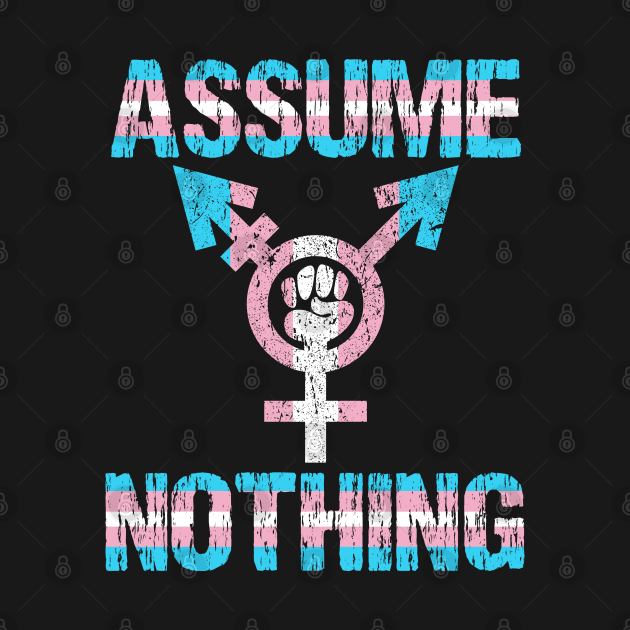 Discover ASSUME NOTHING - Transgender Pride - Assume Nothing Transgender Pride - T-Shirt