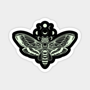 MOON AND MOTH Magnet