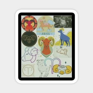 Zodiac Astrology Magnet