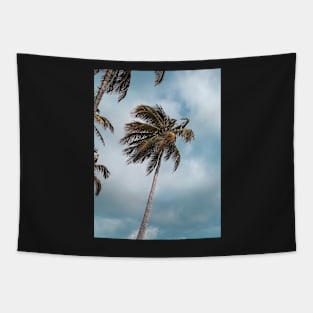 Palm Tree Tapestry