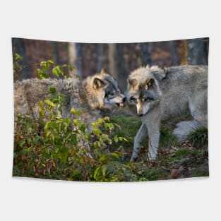 Gray Wolf Tapestry