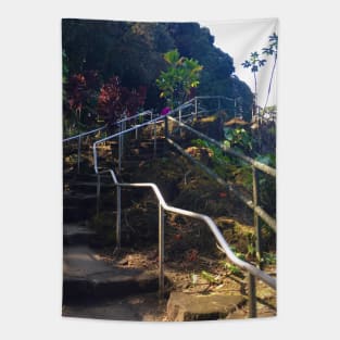 Hawaii stair case Tapestry