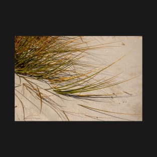 Sand grass. T-Shirt