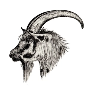 Ibex T-Shirt