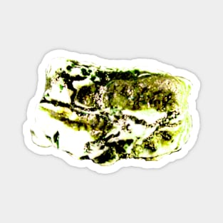 Moss Agate Magnet