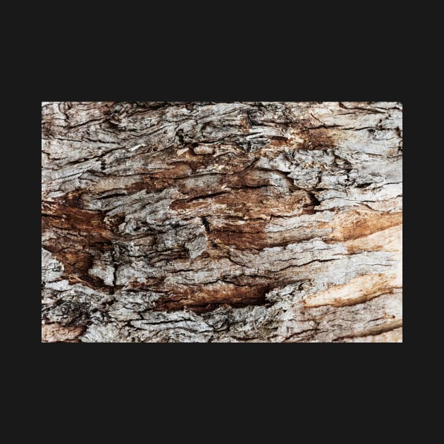 Rustic Orange & Brown Tree Trunk - Alternative by textural