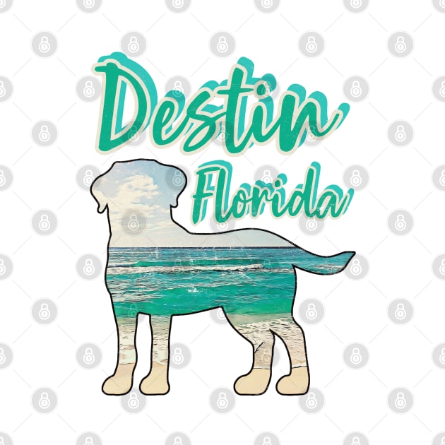 Destin Florida Vintage-Look by Witty Things Designs