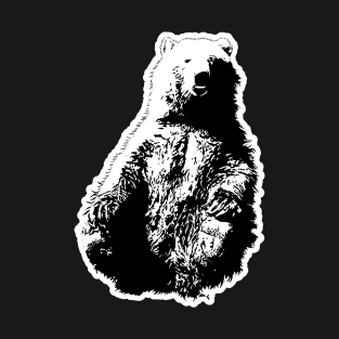 bear T-Shirt