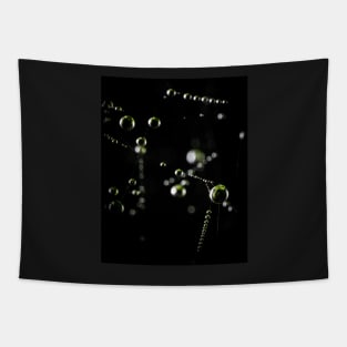 Droplets on web Tapestry