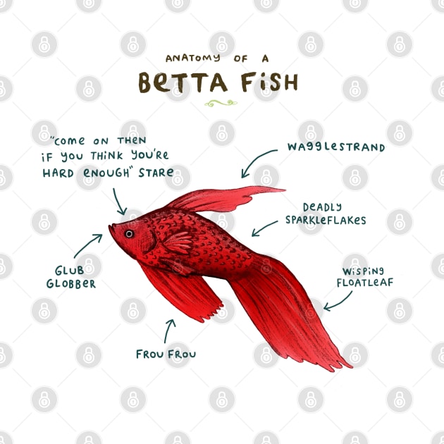 Anatomy of a Betta Fish by Sophie Corrigan