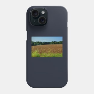 Rural Views 10 Phone Case