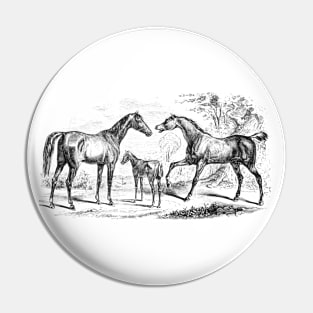 Horse Family Black & White Vintage Illustration Pin