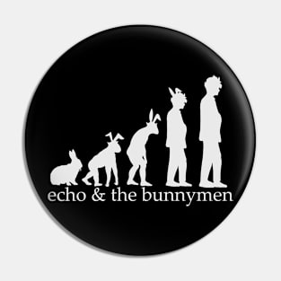 the bunnymen Pin