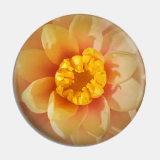 lotus closeup Pin