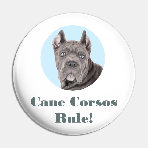 Cane Corsos Rule! Pin by Naves