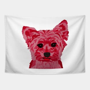 Kate Yorkie over White Tapestry