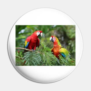 Scarlet Macaws - Costa Rica Pin