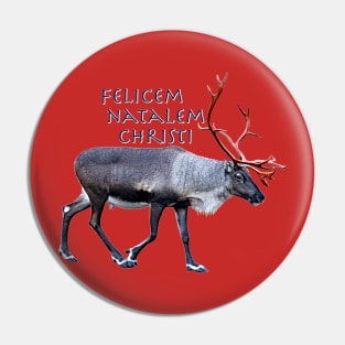 Felicem Natalem Christi Pin