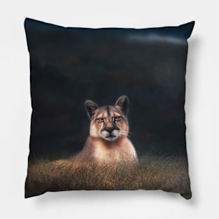 Sound of Silence Pillow