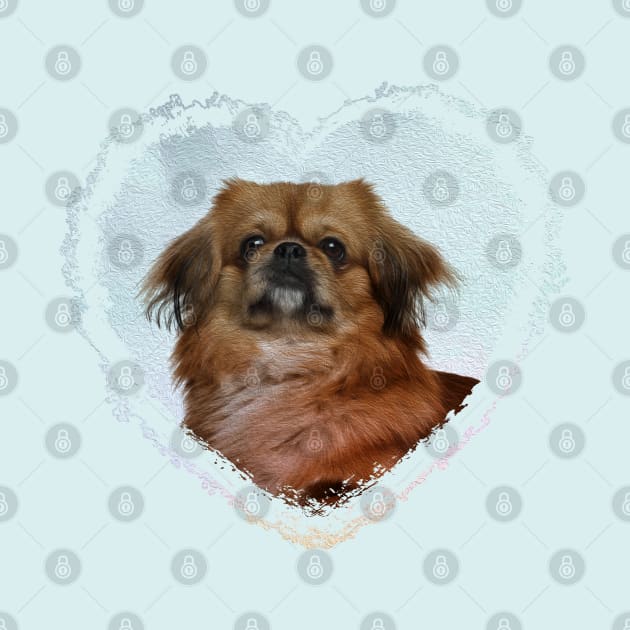 Cute Pekingese dog by Nartissima