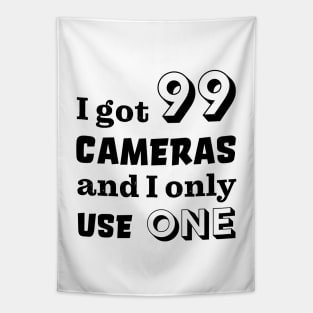 I got 99 cameras and I only use one Tapestry