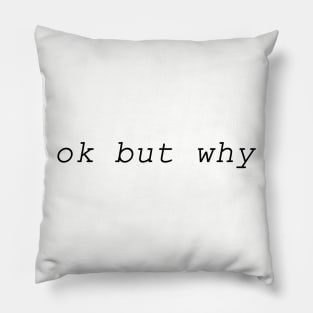 Ok But Why Pillow