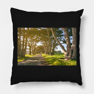 Cypress Tunnel Pillow