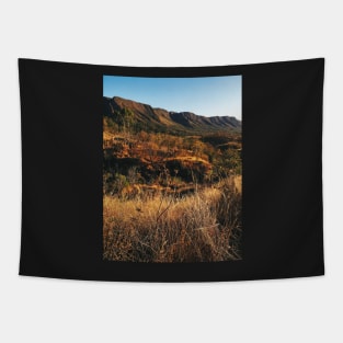 Dry Mountainous National Park Landscape Tapestry