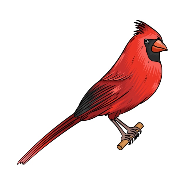 Northern cardinal bird cartoon illustration by Cartoons of fun