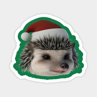 Christmas Hedgehog Or Opossum Wearing Santa Costume Magnet