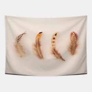 Feather Collection #1 Tapestry