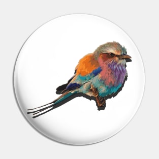 colorful Bird Pin