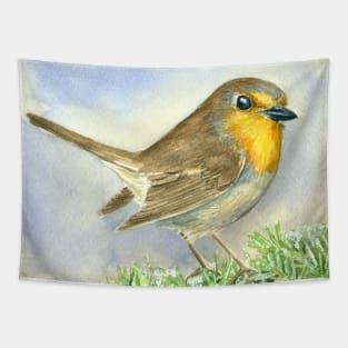 Robin bird on a frosted juniper branch Tapestry