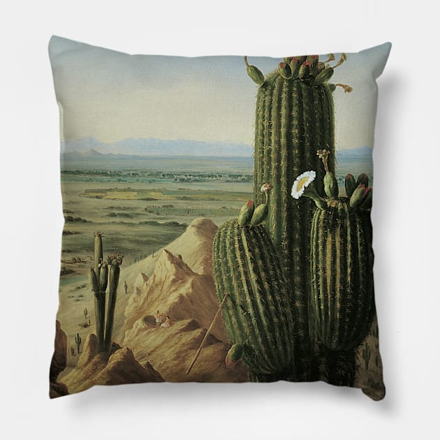 View from Maricopa Mountain Near the Rio Gila by Pratt Pillow by MasterpieceCafe