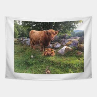 Scottish Highland Cattle Cow and Calf 1804 Tapestry
