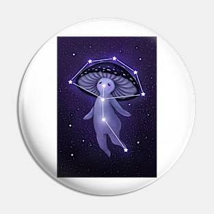 Mushroom Constellation Pin