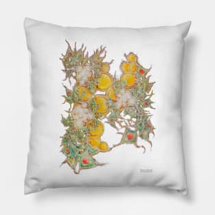 Crypto Abstraction Pillow