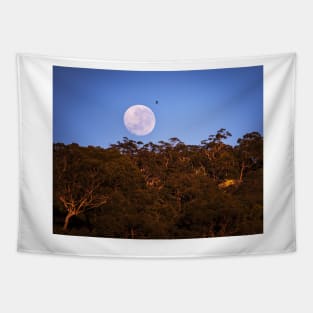 Moonset Tapestry